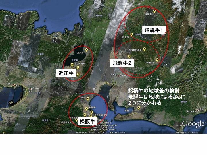 銘柄牛肉の地域分布