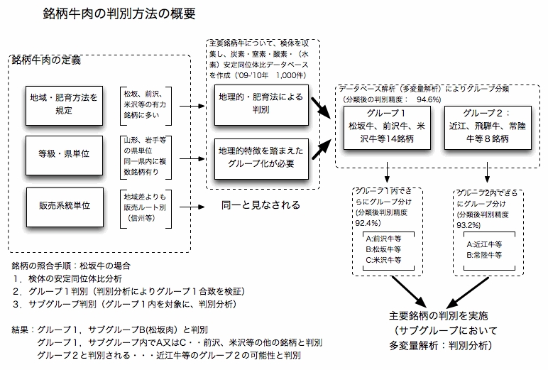 銘柄牛肉判別の流れ