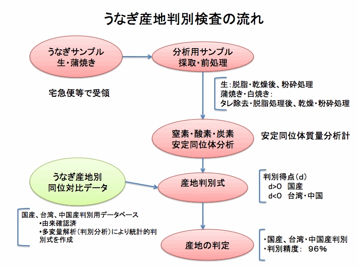 うなぎ産地判別検査の流れ