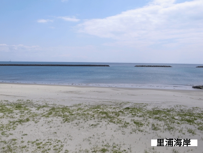 里浦海岸