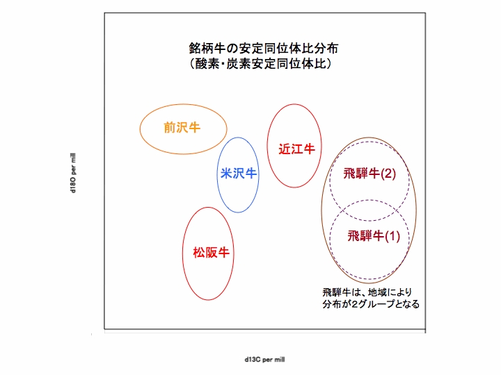 銘柄別の分布